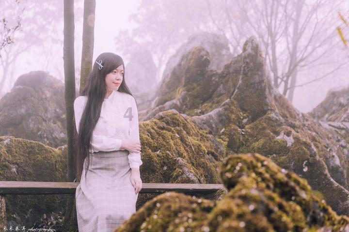 植物大战僵尸2