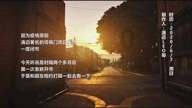 逃离壳牌岛