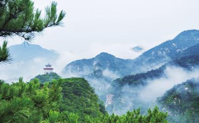 逃离仿真森林